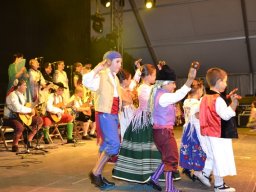 Festival de Folkore en Mula